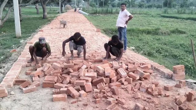 जग्गाको वर्गीकरण