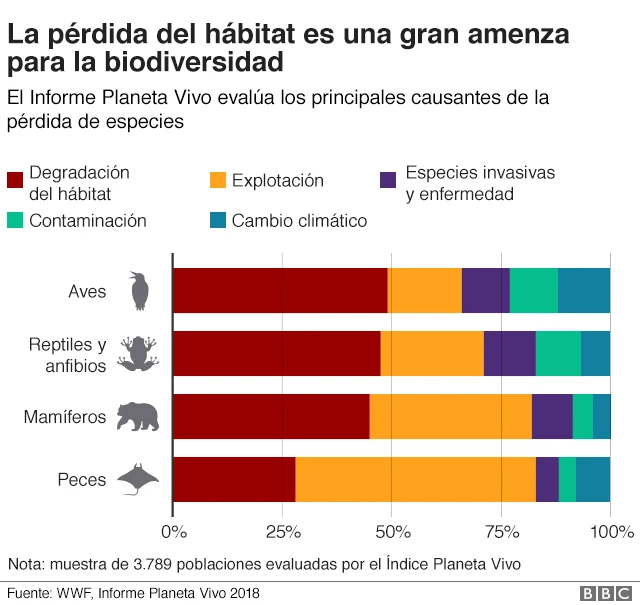 4 Gráficos Que Muestran La "alarmante" Degradación De La Biodiversidad ...