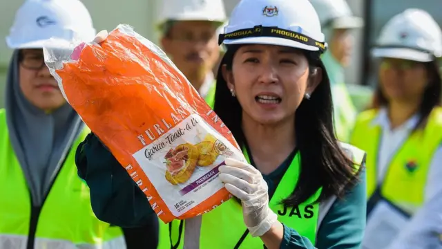 เหยา บี หยิน รัฐมนตรีกระทรวงพลังงาน เทคโนโลยี วิทยาศาสตร์ สิ่งแวดล้อม และสภาพภูมิอากาศเปลี่ยนแปลง (MESTECC)