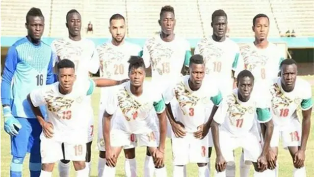 lionceaux, sénégal, guinée, afrique du sud, zambie