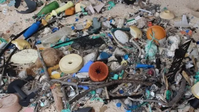 প্লাস্টিক আর প্লাস্টিক। ছড়িয়ে পড়ছে খুব দ্রুত