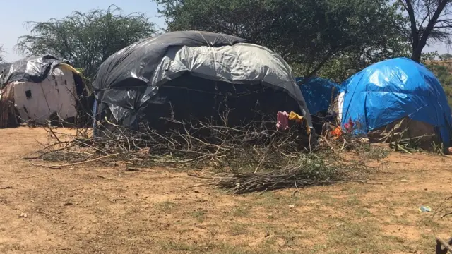 ተመዛበልቲ ሞያሌ