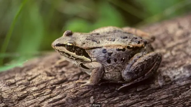 समय, अंतरिक्ष