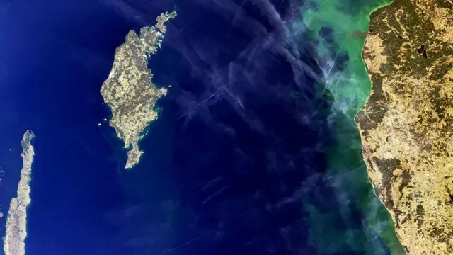 உயிரொளிர்வு: கடல் கரையில் பரவிய வெளிச்சம் - என்ன காரணம்?