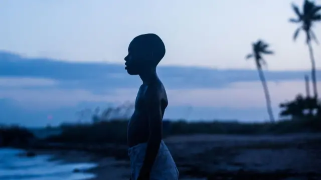 Кадр из фильма "Лунный свет"