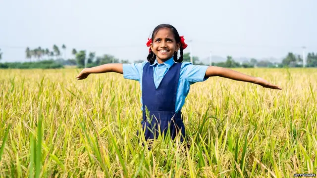 प्रातिनिधिक फोटो