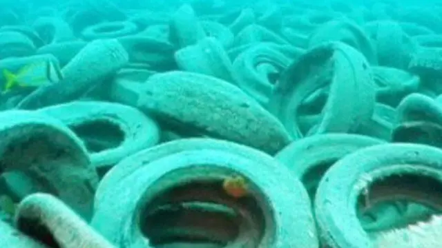 حماية البيئات البحرية