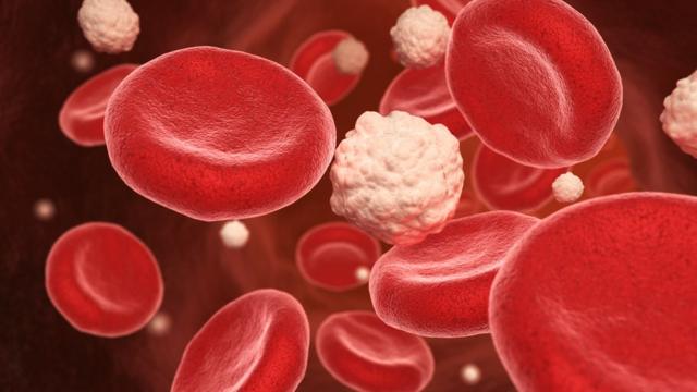 Representaçãomega sena como jogarcélulas sanguíneas e da glicose