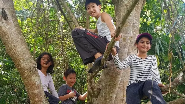 يمكن تكييف التعلم في الهواء الطلق مع المناخات والموائل المختلفة