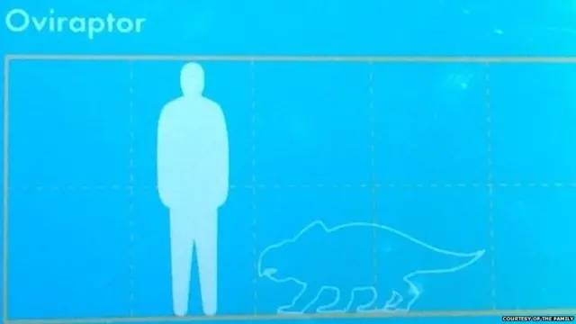 डायनासोर