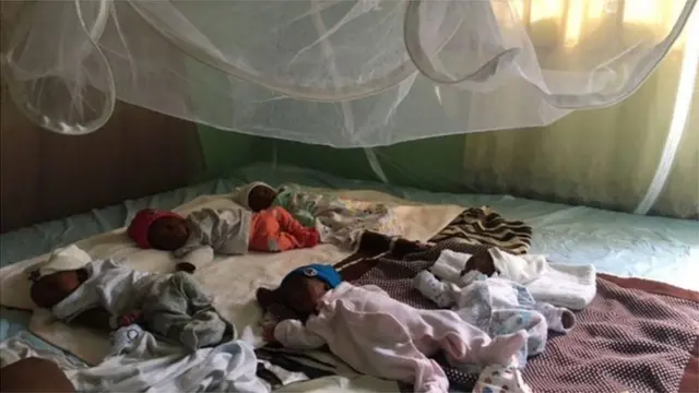 Ibẹfa idile Akhinmien