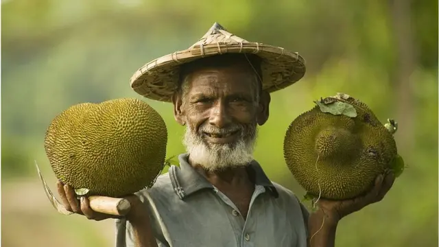 বাংলাদেশের জাতীয় ফল কাঁঠাল।