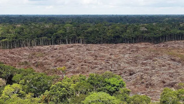 Fotocasa de apostas viih tube2013 mostra área onde árvores foram derrubadas na Amazônia