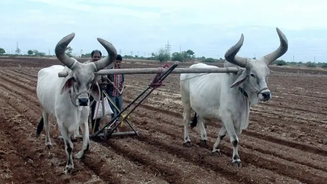 ખેડૂતોના મુદ્દે સરકારની ભૂલ