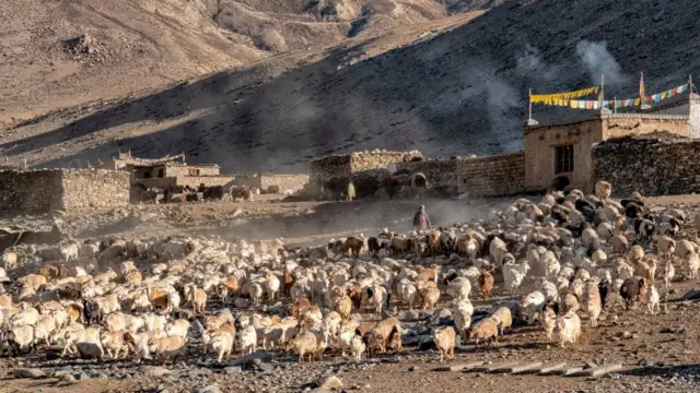 பெளத்த ஆதிக்கம் நிறைந்த பகுதியில் பாஜக எழுந்த கதை