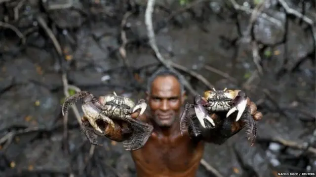 ਬ੍ਰਾਜ਼ੀਲ ਵਿੱਚ ਮੱਛੀ ਤੇ ਕੇਕੜੇ ਫੜਣਾ ਕਿਉਂ ਹੈ ਖ਼ਾਸ