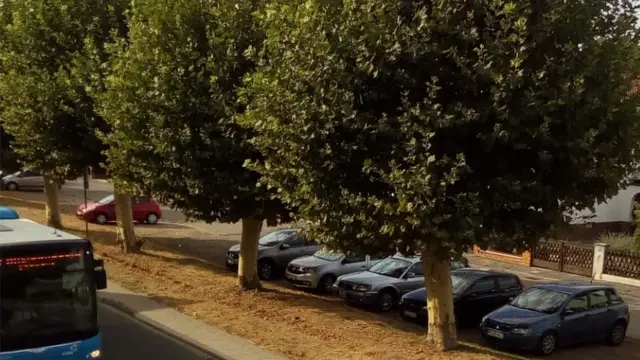 ካብዞም ኣእዋም ወጻኢ በዚ ፍኒስትራ ኮይንካ ብዙሕ ዝረአ ነገር የለን።