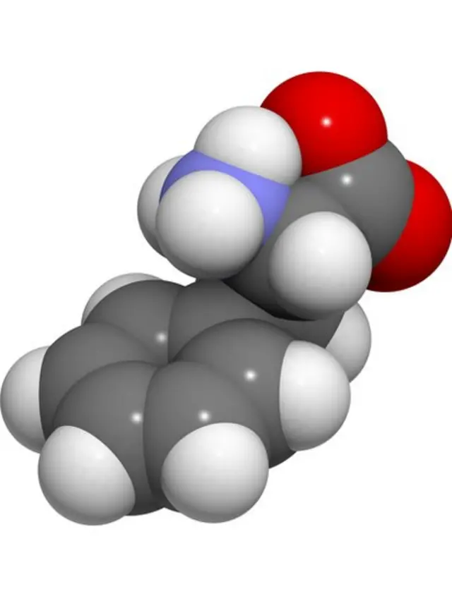 مدل مولکول اسید آمینه فنیلآلانین، اسید آمینهای که مبتلایان به پیکییو نمیتوانند متابولیزه کنند. اسیدهای آمینه اجزای سازنده پروتئینها هستند
