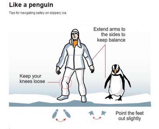 英国网友分享雪地走路经验：像 企鹅 一样就好了