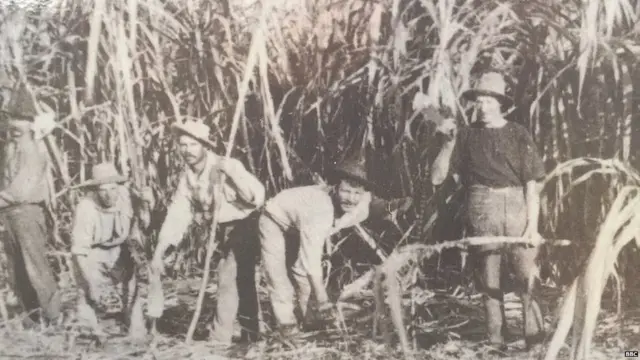 वूलगूलगा हेरिटेज वॉक पर लगी तस्वीर