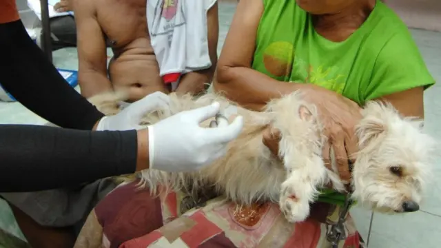 Dedeh Rosidah menganjurkan untuk umat Islam tidak menjadi dokter hewan.