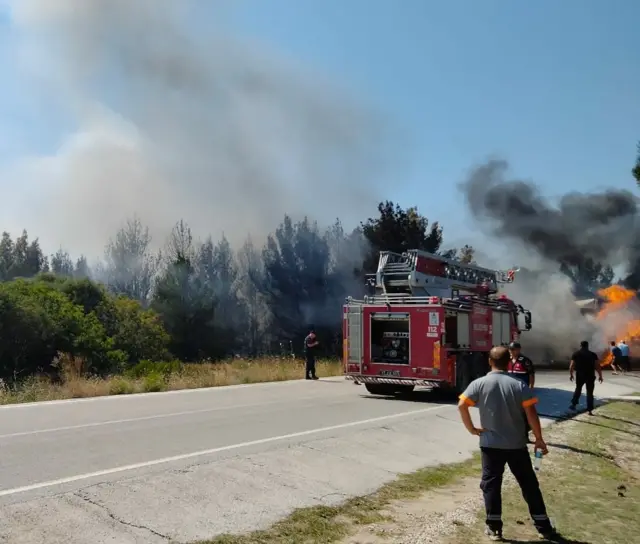 Anzak Koyu'nda yangın