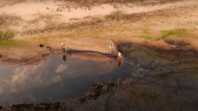 Operaçãobetesporte 360resgatebetesporte 360peixes no Rio Paraná