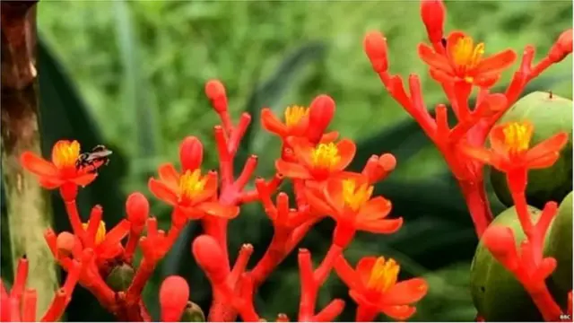 ఆరే కాలనీలోని ఓ ప్రదేశం