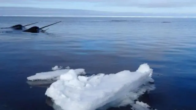 ક્લાઇમેટ ચૅન્જ