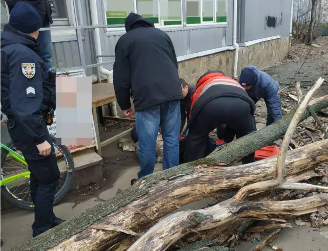 Дерево, що впало на велосипедиста