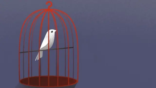 પ્રતીકાત્મક તસવીર