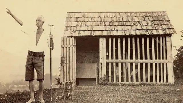 الاستشفاء بالطبيعة