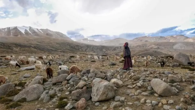 भारत चीन सीमा