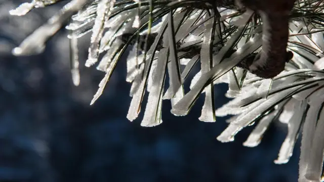 （图片来源: Dave Stamboulis）