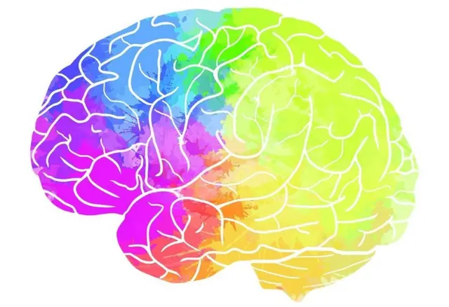 รูปสมองสีรุ้ง