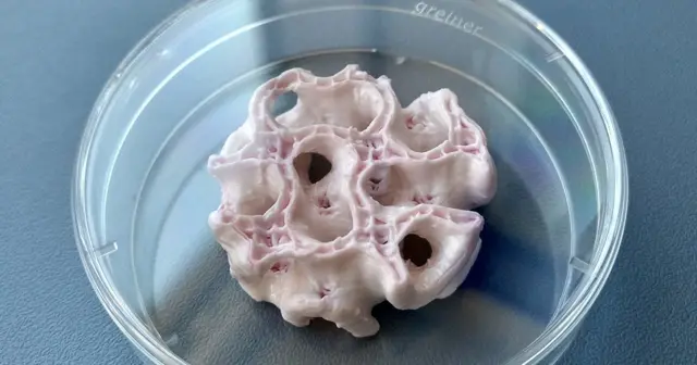 چاپ سه بعدی استخوان