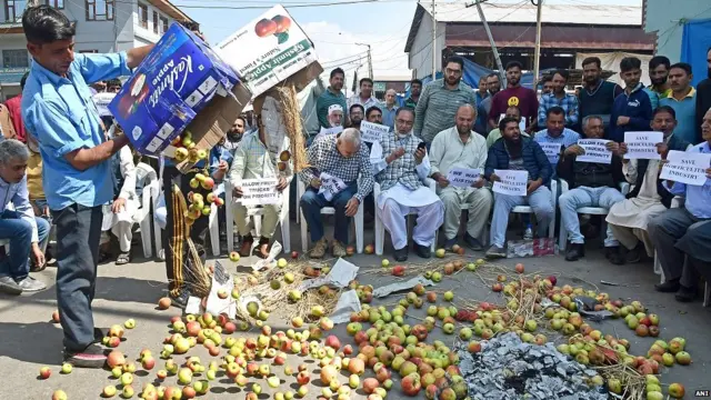 कश्मीरी सेब