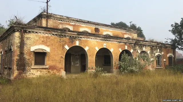 अमृता शेरगिल, विक्टर एगन, गोरखपुर, उत्तर प्रदेश, चीनी मिल, सराया, सरदारनगर