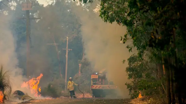 Лесные пожары в Австралии возникают каждый год