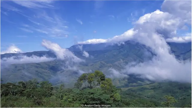 布里布里土著群体居住在哥斯达黎加南部一个偏远的山区，那里到处是茂密的丛林和蜿蜒的河流。
