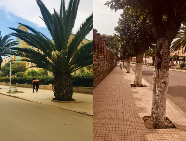 ጎደናታት ኣስመራ ብጥንቃቐ ብዝተተኸለ ተኽሊ ሽባኻን ስየን ዝማዕረጉ'ዮም