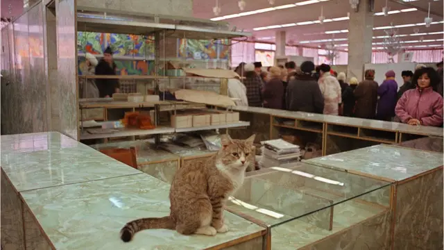 রাশিয়ার বড় বড় শহরে তখন তীব্র খাদ্য সংকট। দোকানগুলিতে ক্রেতাদের দীর্ঘ লাইন।