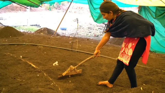 गांडूळ खत