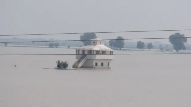 सिताब दियारा