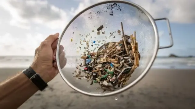 ətraf mühit çirkliliyi, dəniz duzu, süfrə duzu, mikroplastiklər, plastiklər