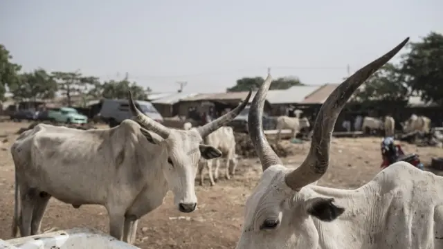 Benue grazing law