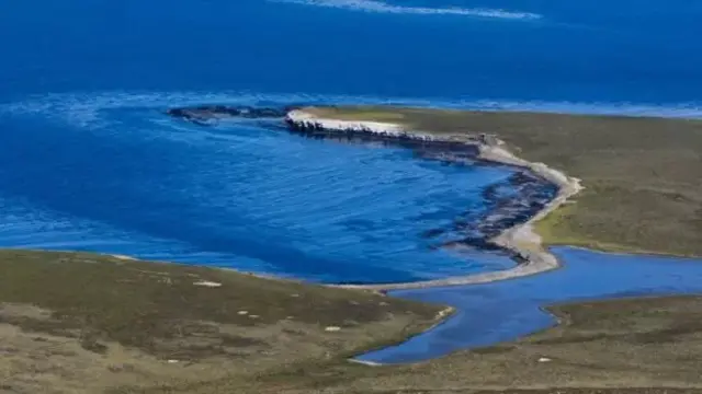 ఫాక్లాండ్ దీవులు