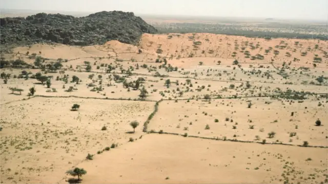 ఎడారిగా మారుతున్న భూమి