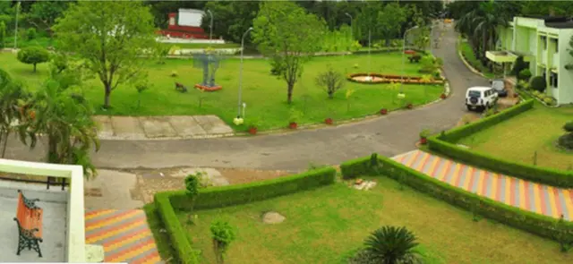 జర్నలిజం