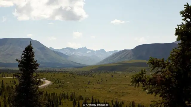 Parque Nacional Denali